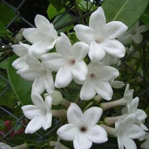 Meet your Posher, Lynne